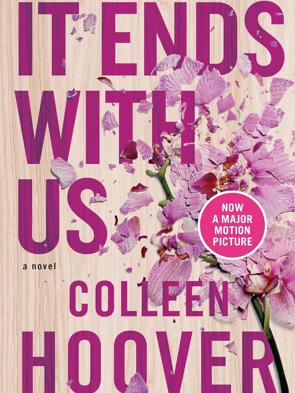 5$ add on! It Ends With Us by Colleen Hoover